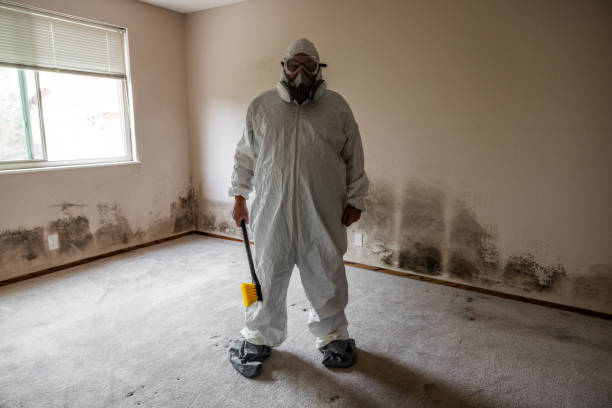 East Sonora, CA Mold Remediation Company
